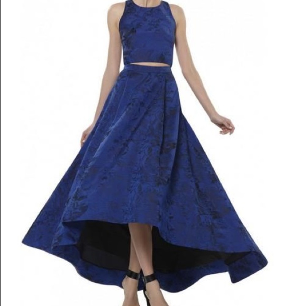 Alice and Olivia 2 piece gown